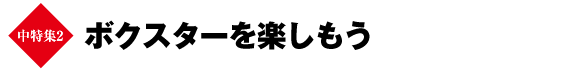 中特集2　ボクスターを楽しもう