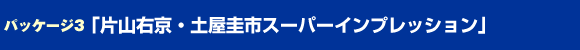 パッケージ3 「片山右京・土屋圭市スーパーインプレッション！」